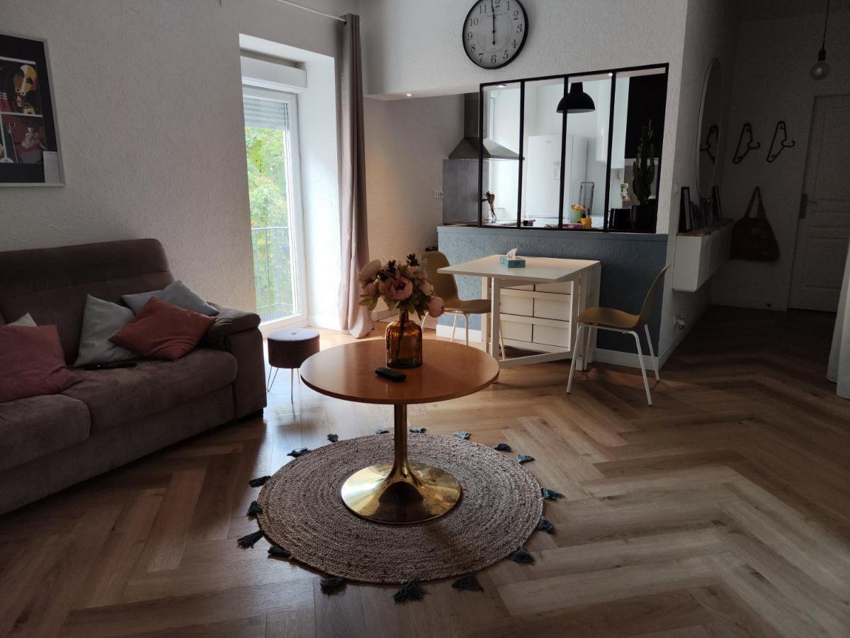 Le Petit Angle Appartement 2 Pieces, Plein Centre Ville, Pres De La Gare Jusqu'A 4 Personnes Bellegarde-sur-Valserine Luaran gambar